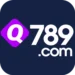 Q789 Game